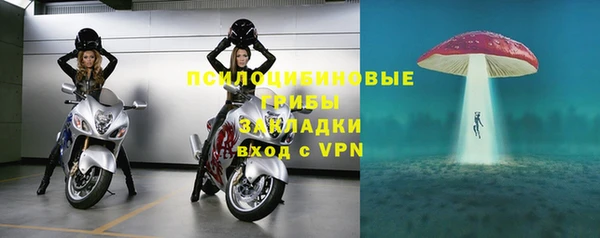 ПСИЛОЦИБИНОВЫЕ ГРИБЫ Алексеевка