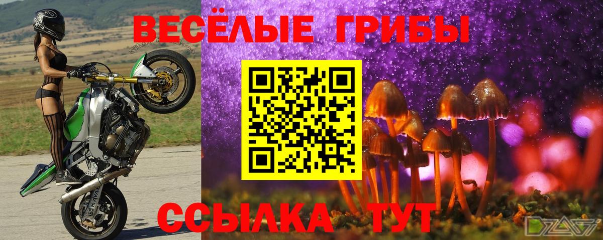 Псилоцибиновые грибы Cubensis  Вход с VPN  Красногорск  Галлюциногенные грибы GOLDEN TEACHER 